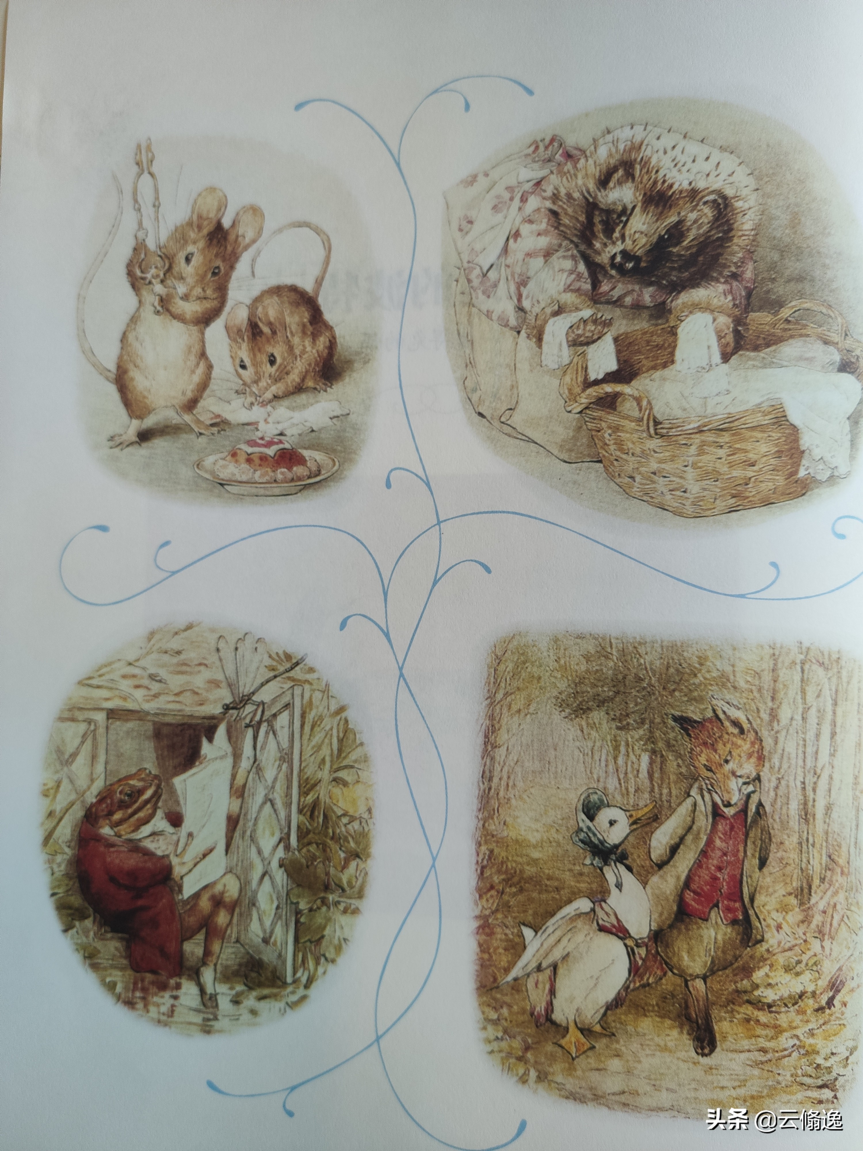 是一个怎样的妈妈，画出了一个一百多年来深受欢迎的彼得兔呢？