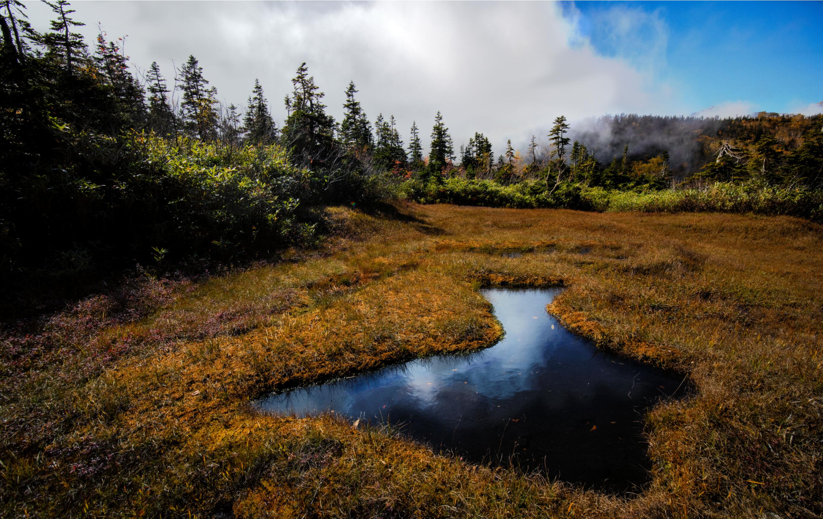 佳能apsc画幅eosr7已经开始测试了,eosm6markii教程
