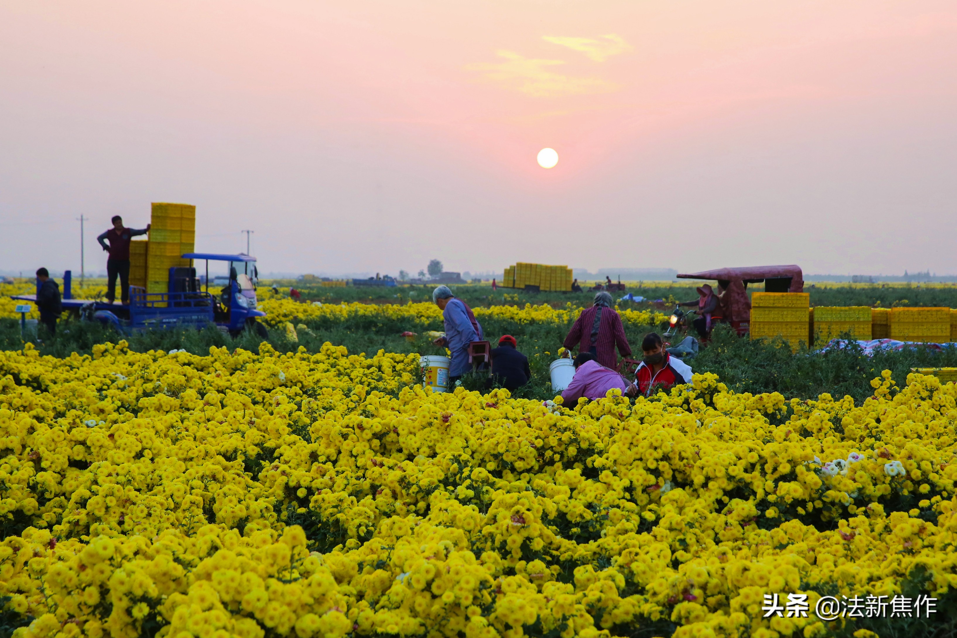 建党百年感人诗歌,献礼建党百年诗