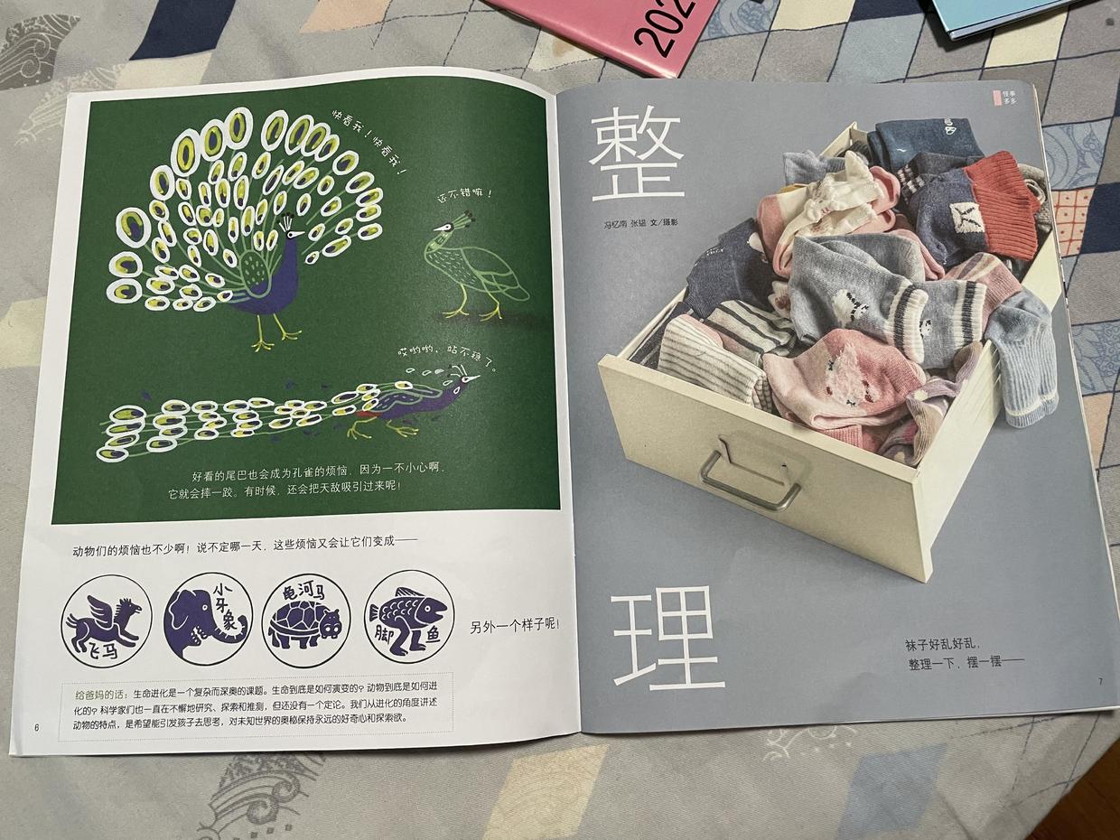 又到了给孩子择校的时节,年底给孩子订什么杂志