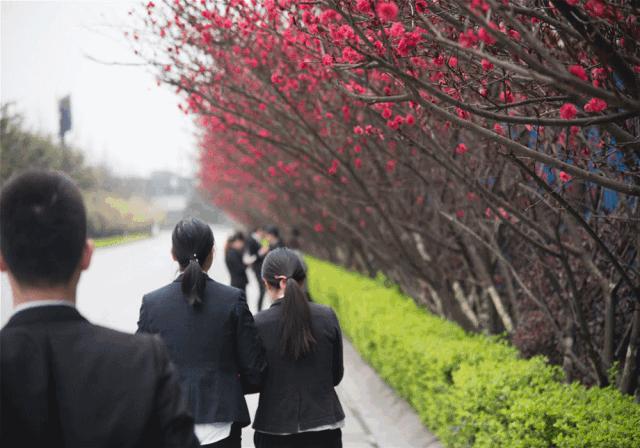 全友家居2024招聘信息,全友家居校园招聘