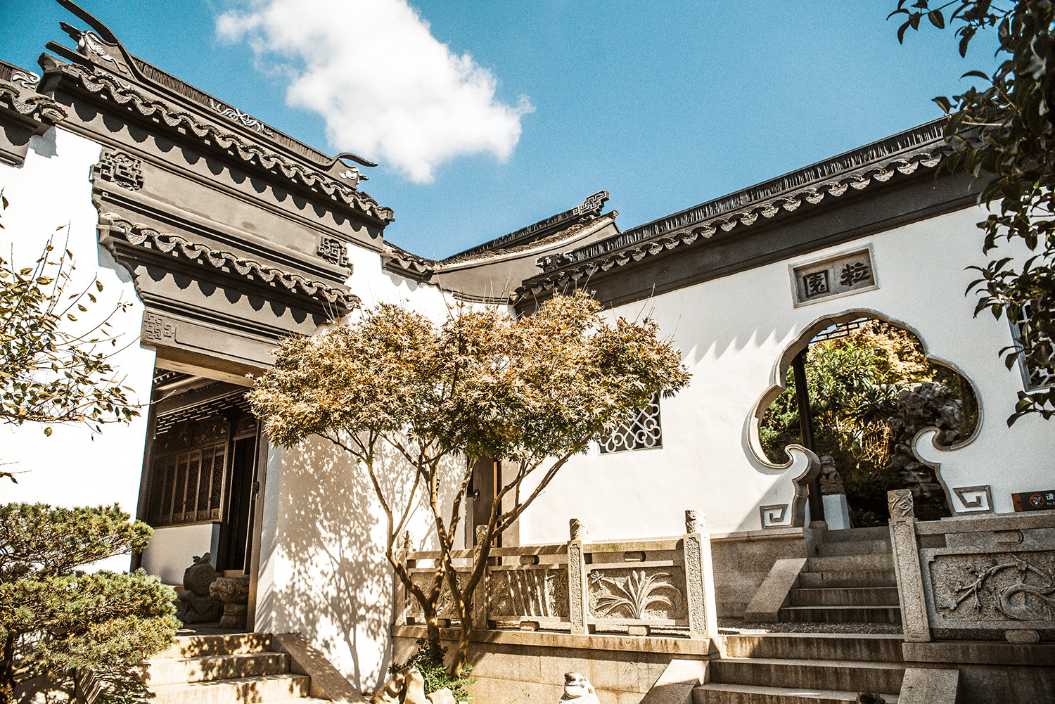 姑苏人都不知道的轻徒步道，穿越万亩茶园，将苍茫的太湖尽收眼底