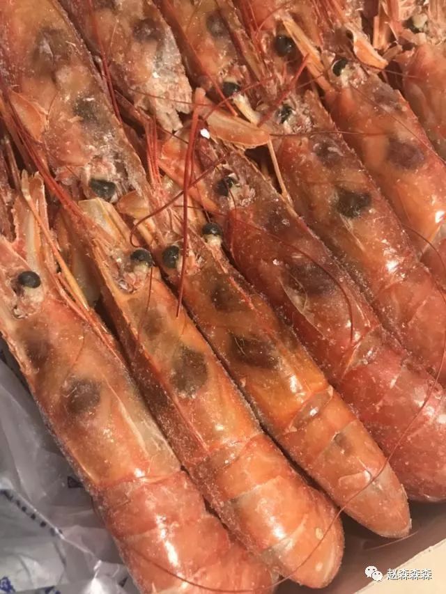 战斗民族的美食,战斗民族的美食视频