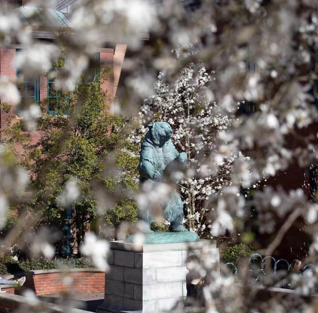 如果你想知道什么是快乐星球的话,如果你想知道什么是快乐星球原版