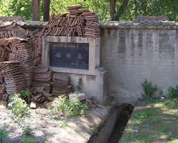 除了鲁迅还有哪些作家,除了王国维还有什么传奇人物