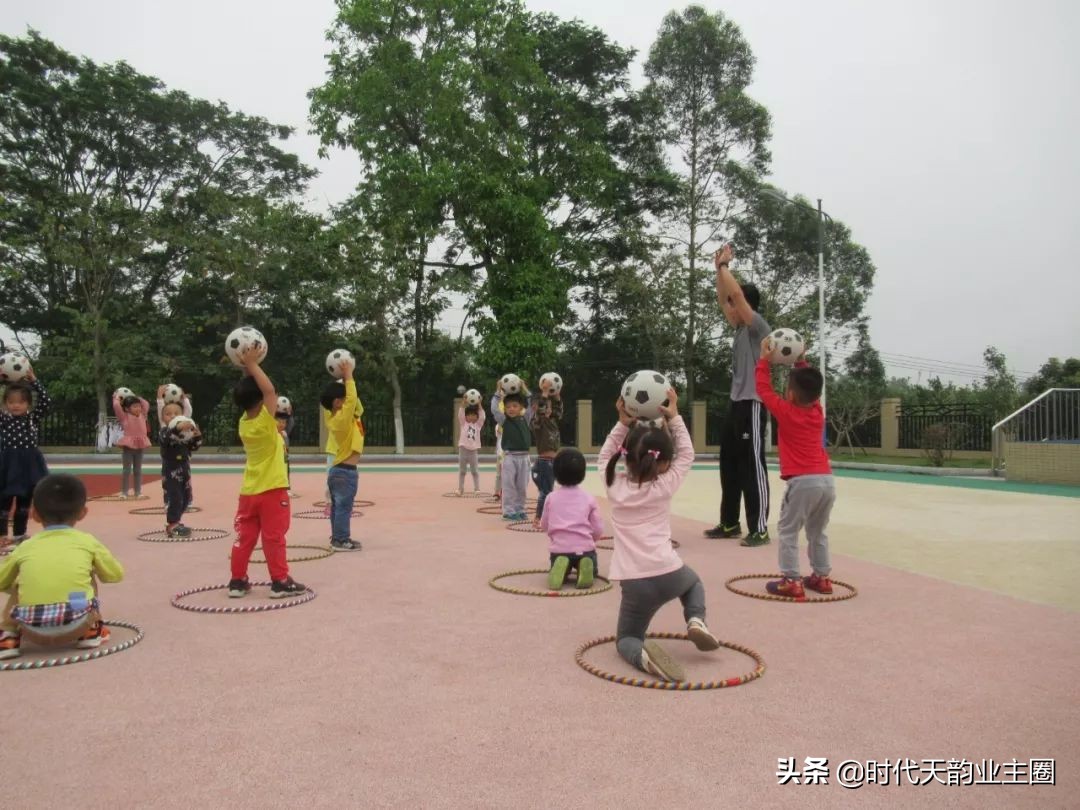 知识城幼儿园,知识城学校