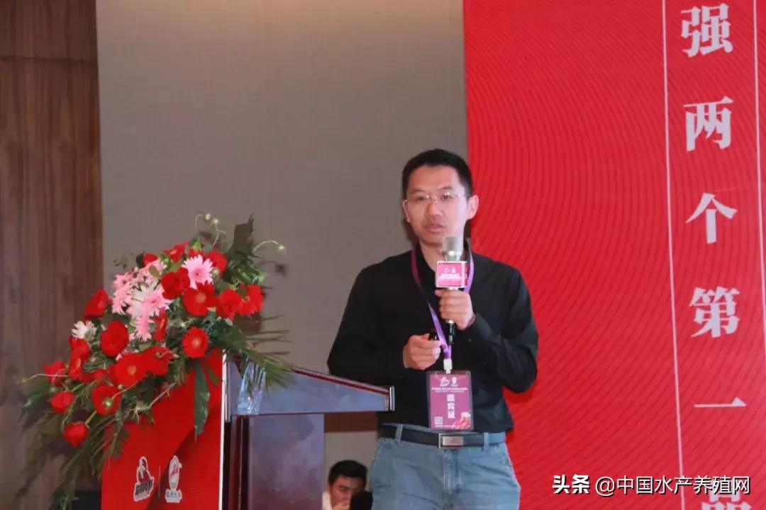 潜江稻田小龙虾产量,虾稻米产量