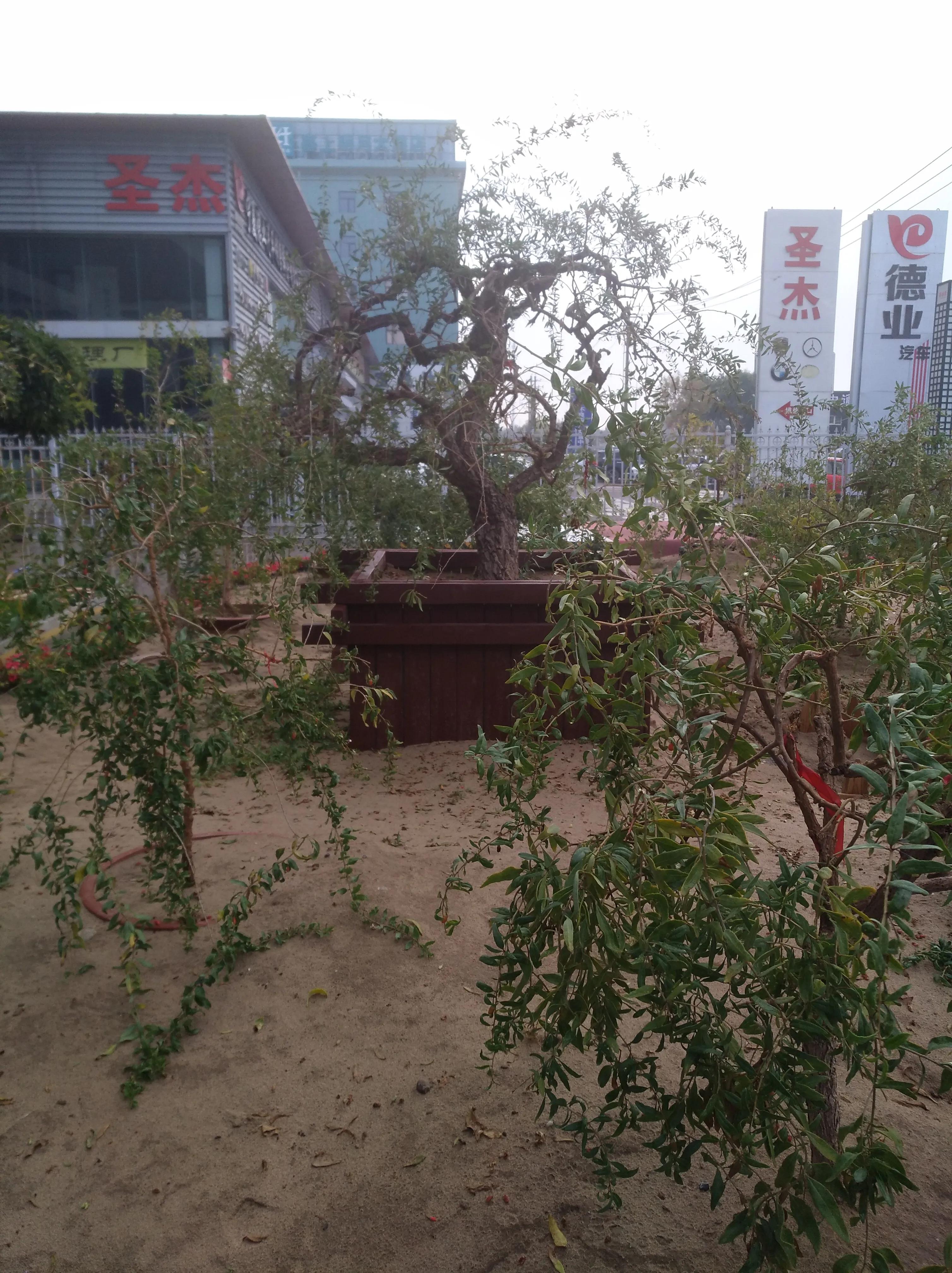 参观观摩学习心得体会,宁夏百瑞源车间参观