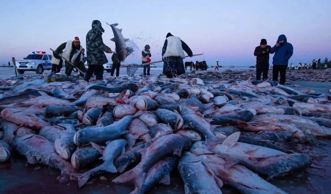 北方的美食,北方的好吃东西