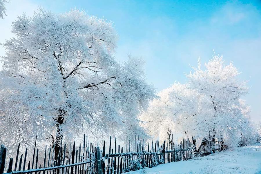 冬季的庭院景观,美丽如画的自然景观让人心旷神怡