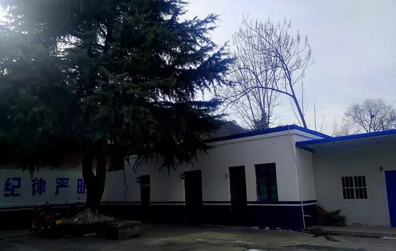 大山里的小女警,山沟里的金凤凰——灵宝户籍警韩晓丹