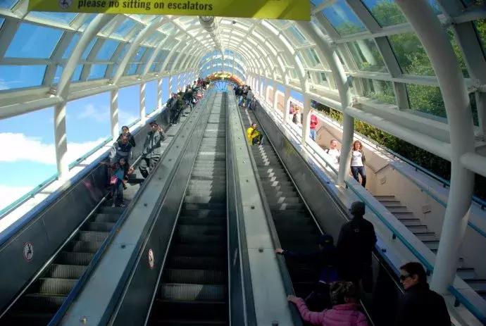 寻找侏罗纪世界中的火山岛，和“驯龙高手”一起拯救史前小短手！