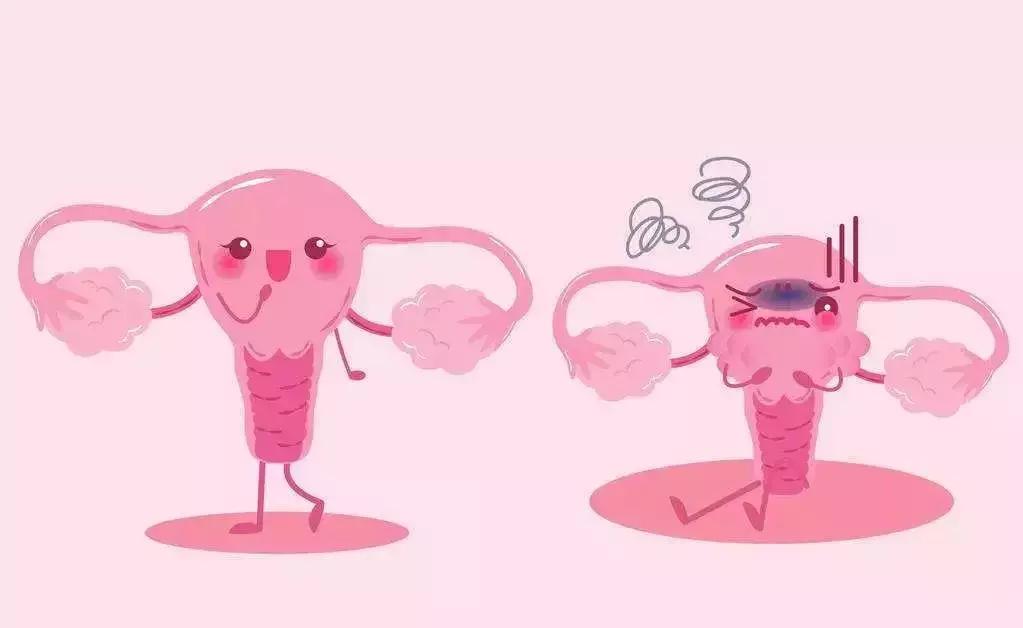 肠息肉胆囊息肉怎么治,肠息肉胆息肉胃息肉吃什么胶囊