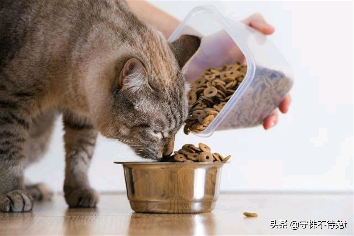 ​10个冷知识：为什么法拉利上，只有副驾驶一面化妆镜