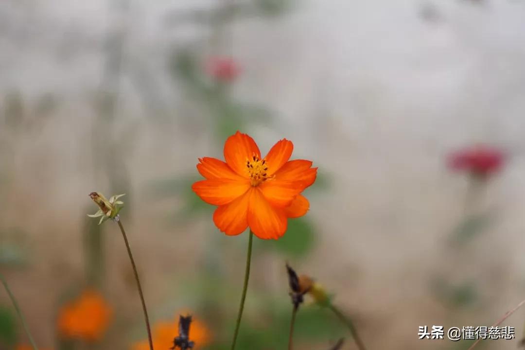 当你一无所有的时候的感悟,属于你的永远都在深度好文