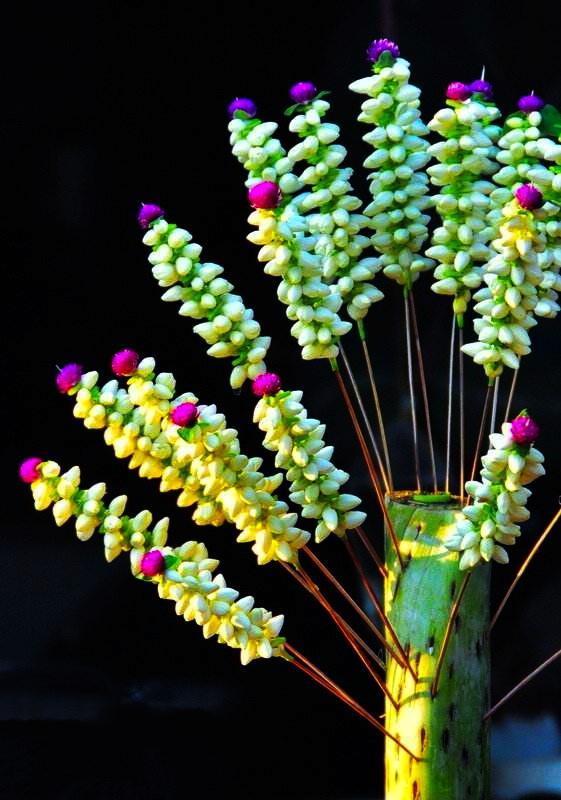 茉莉花精油一次用多少,重瓣茉莉精油