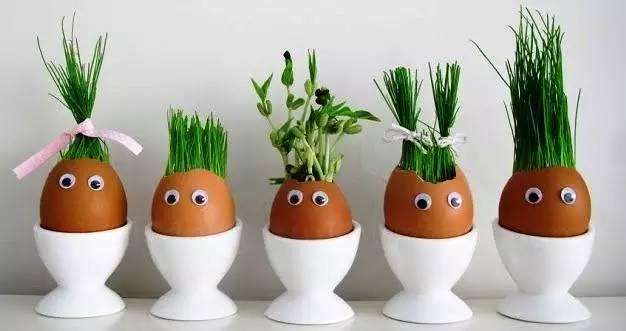 在家里做又简单又好看的花盆,花盆也能自己做省钱环保又新意