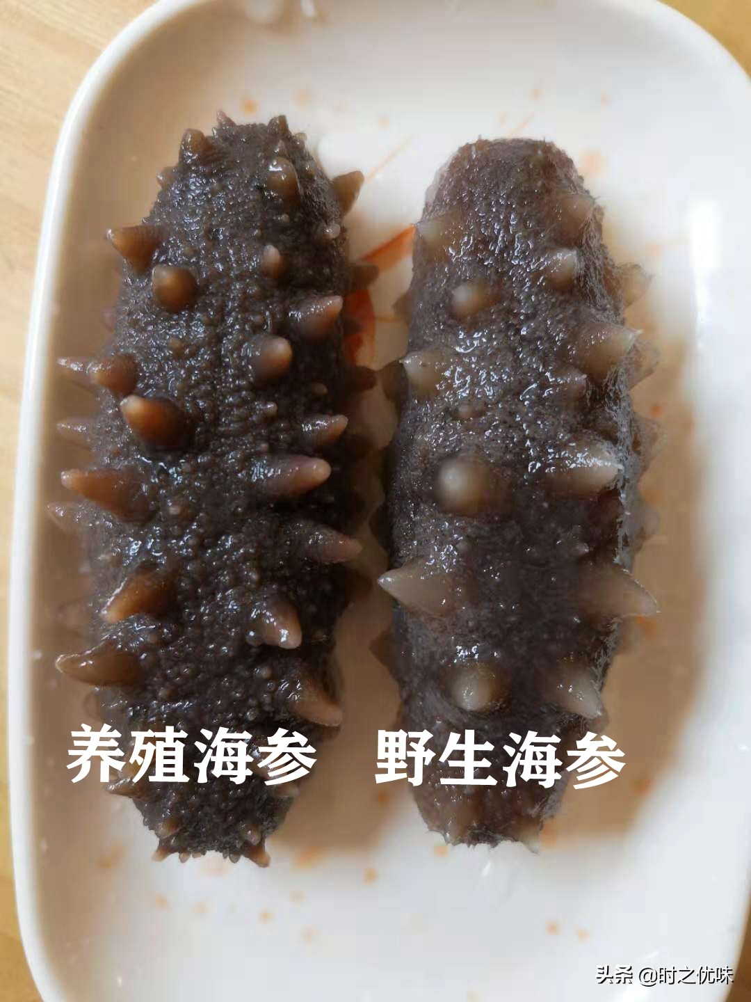 人工养殖的海参与辽参的营养区别,养殖参和野海参的营养区别