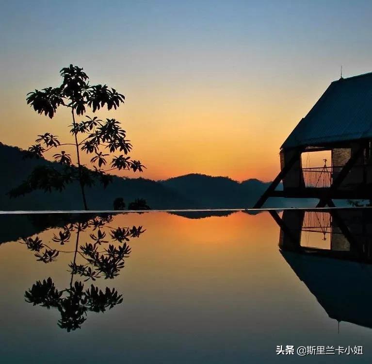 海外华人疫情纪实,疫情期间的外国故事