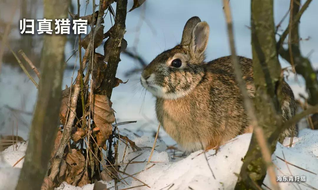 你等的开板终于要来了！