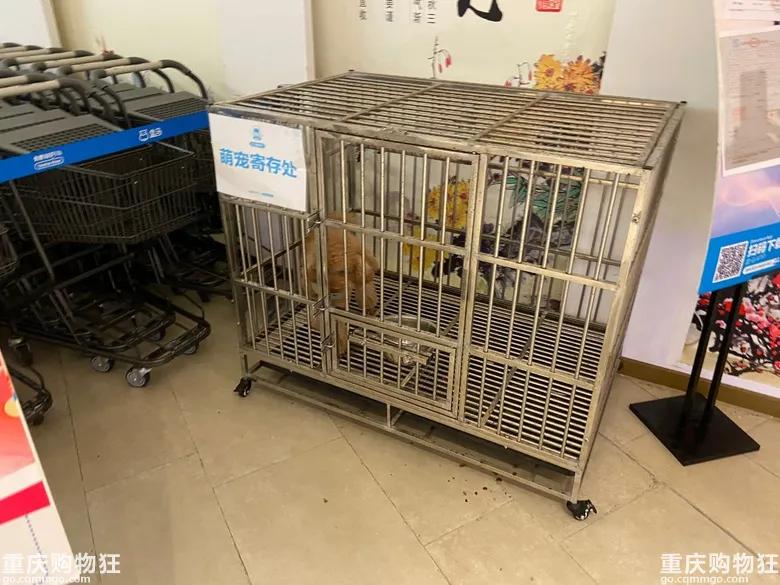 重庆有个什么不夜城,重庆盘龙旅游