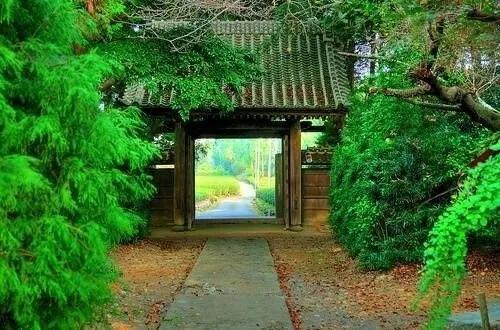 惊艳千年的四十句诗,这些诗句超美却很冷门鲜有人知