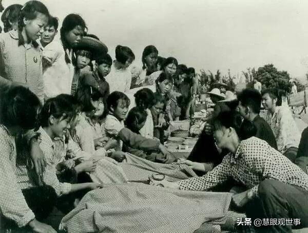 故事片透明的红萝卜完整版,透明的红萝卜有声小说免费