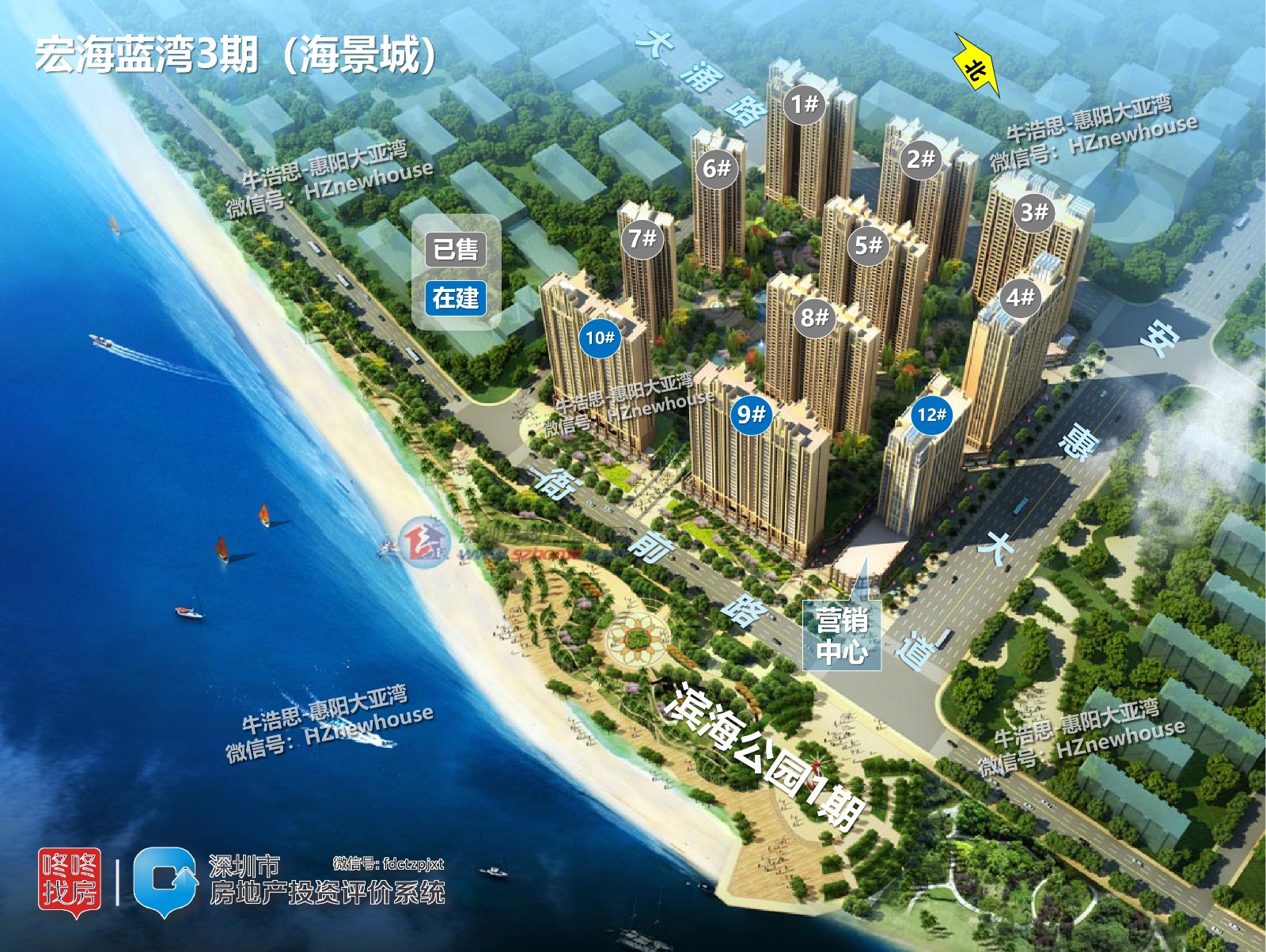 老牛观察大亚湾,大亚湾中心区老牛观察