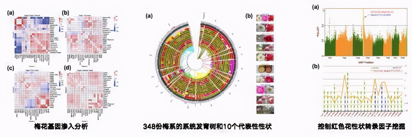 北京林业大学新一轮评估排名,中央一号文件林业部分