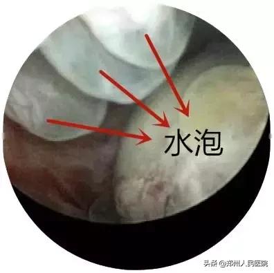 这个小镜子，照看着世上最贵的“房子”