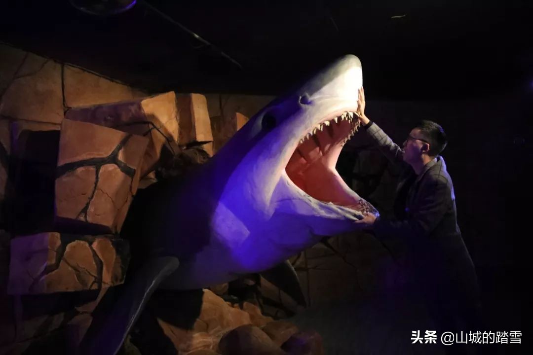 重庆巴南区旅游攻略,巴南主城区一日游的绝佳去处