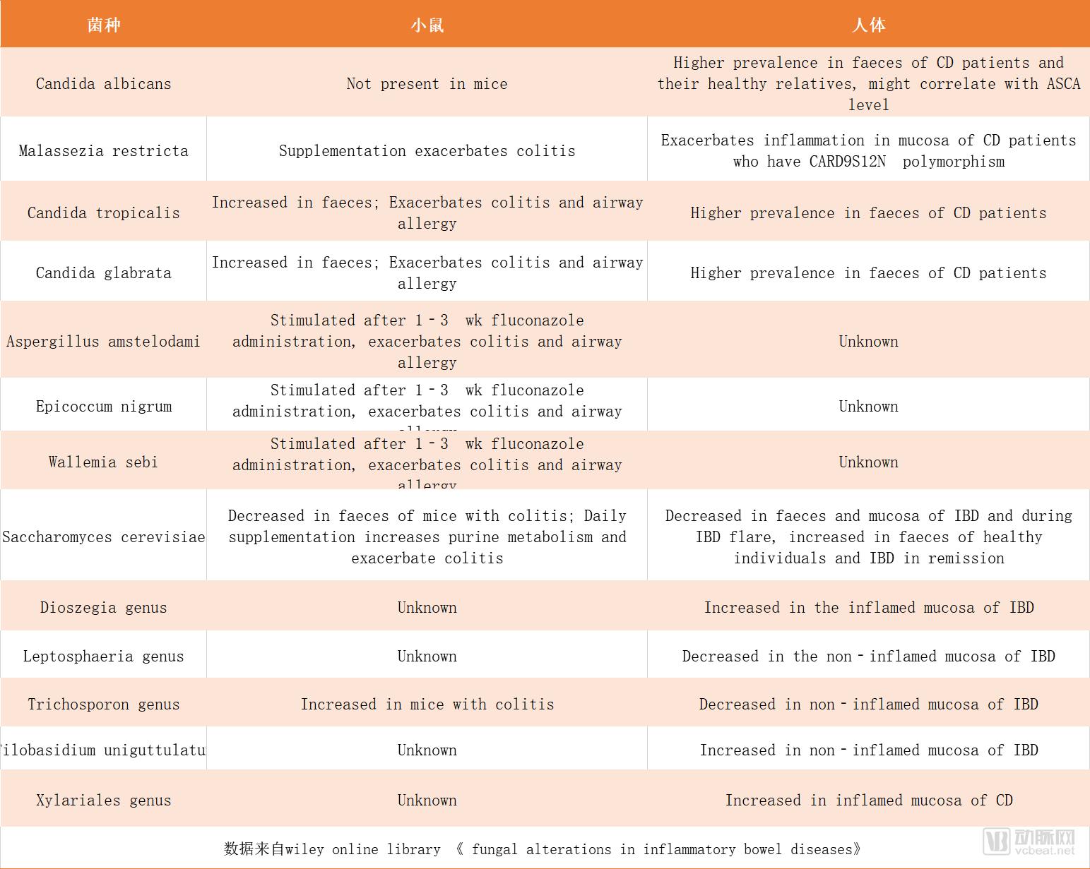 盖茨基金会投资回报,盖茨基金会向中国捐了多少钱