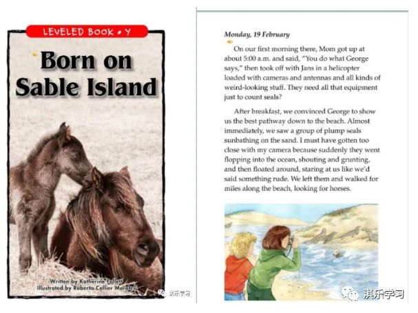 英语raz分级阅读解析,英语raz分级阅读绘本含多少词汇量