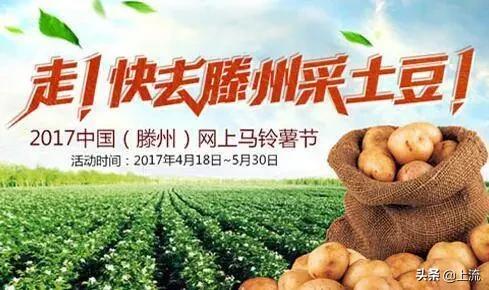 山东省到底有多强大,山东对中国的贡献有多大