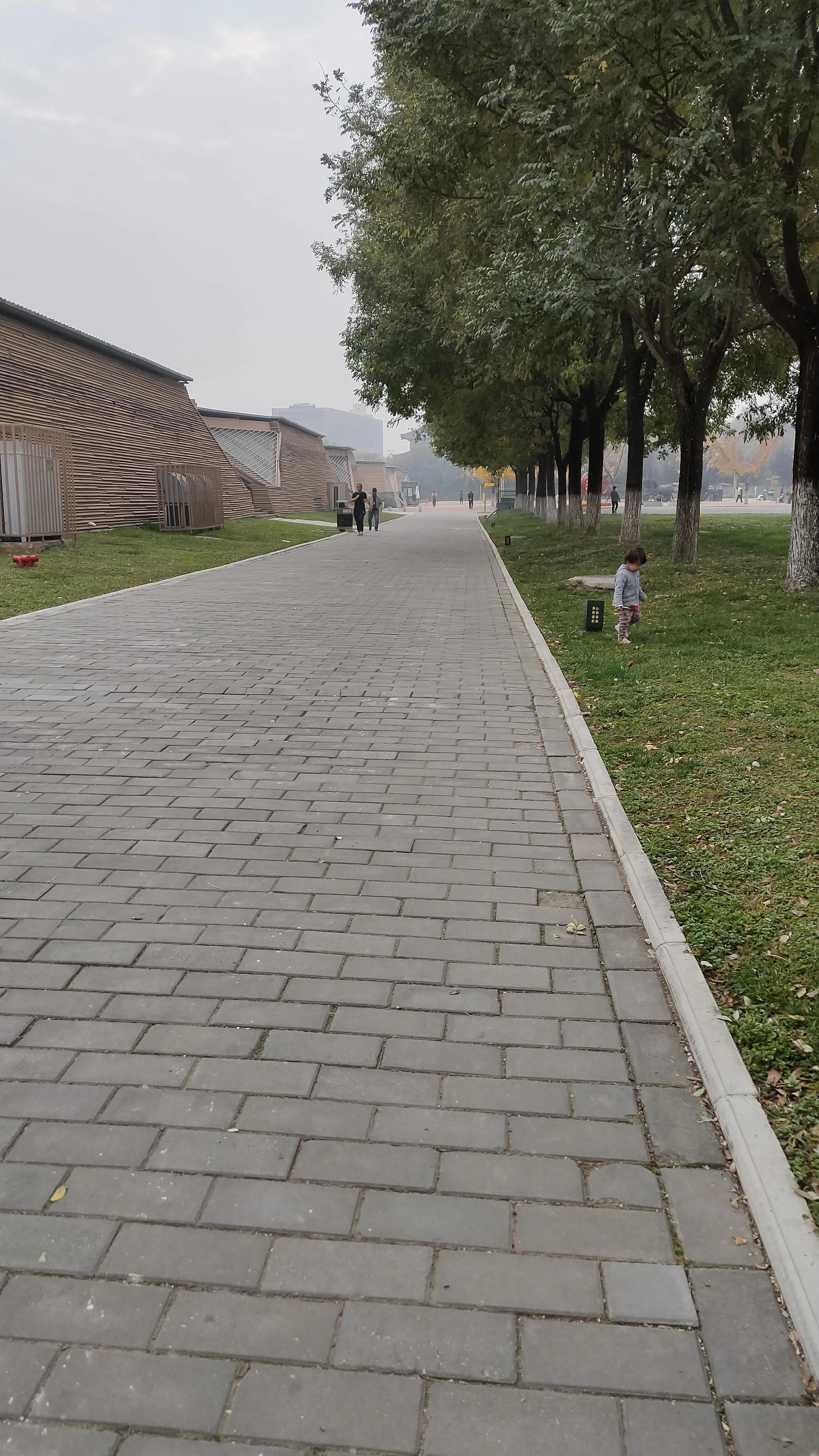 探寻西安大明宫国家遗址公园攻略,西安的大明宫遗址公园