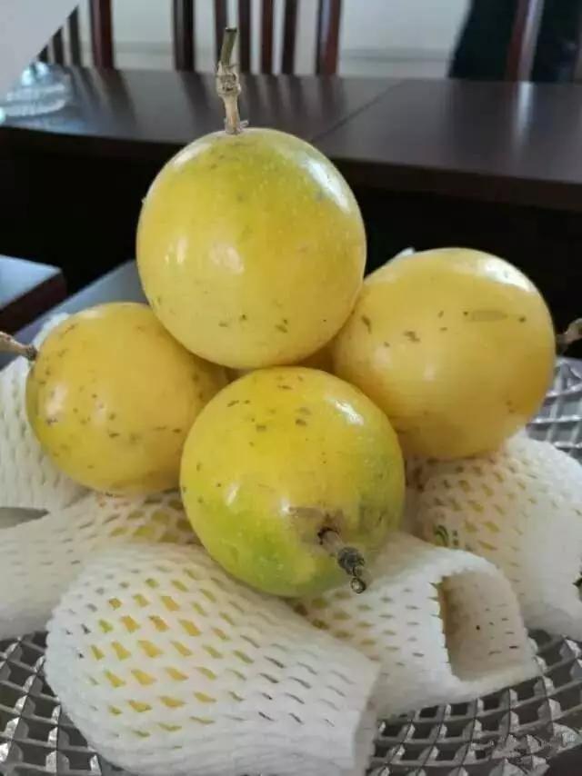 1688年销售额突破千万怎么报税,半年销售额破10亿如何做到的