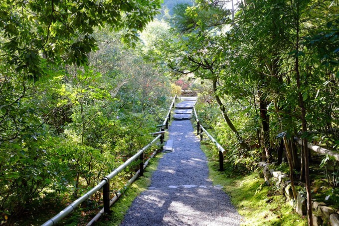 京都赏枫2022,京都赏枫必去景点有哪些好玩的