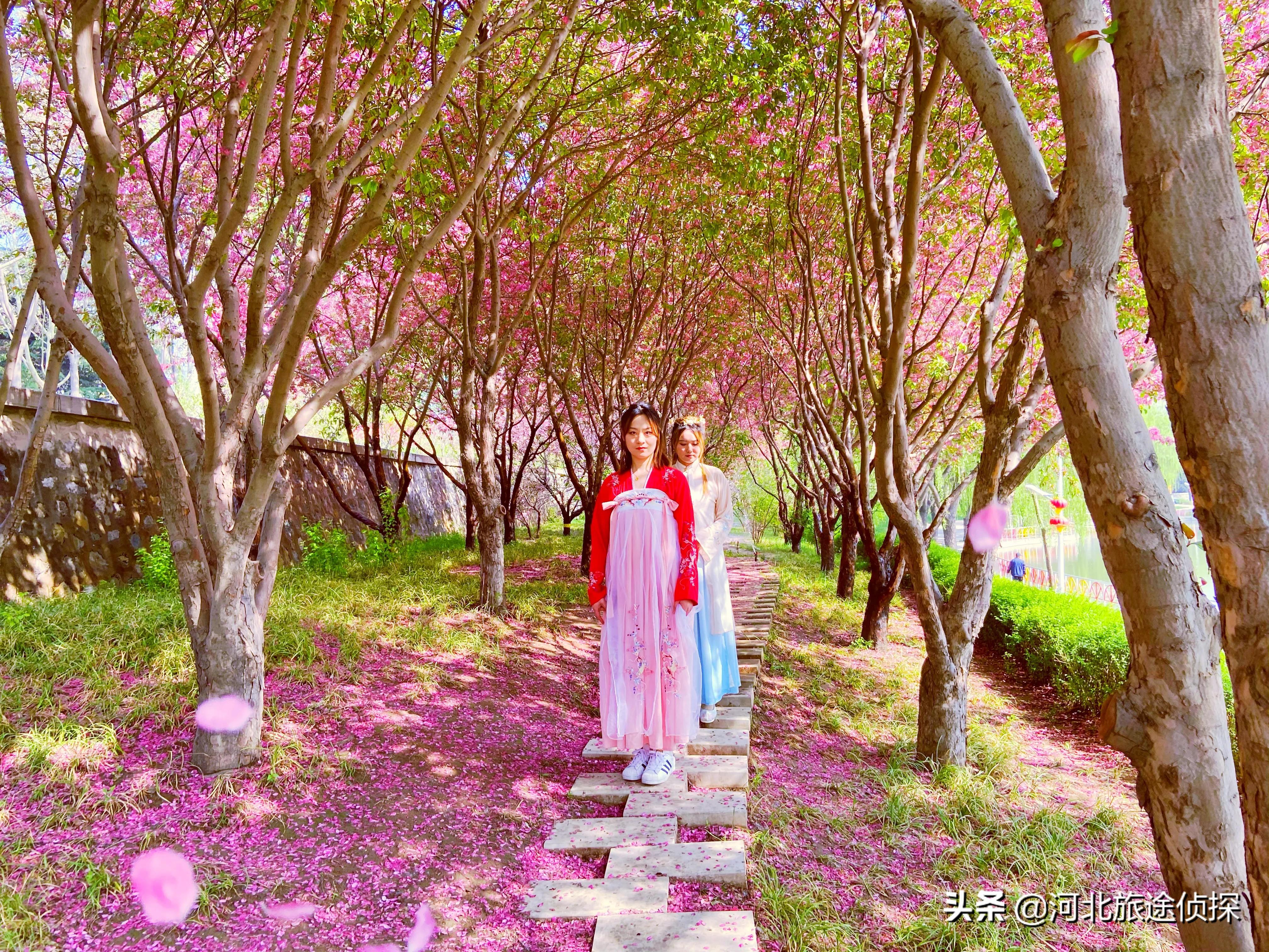 石家庄海山公园,石家庄鹿泉海山岭森林公园