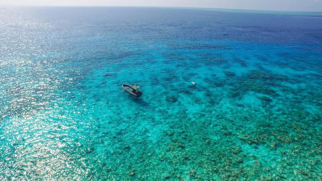 中国十大最美海岛东山岛,中国十大最美海岛有连岛吗