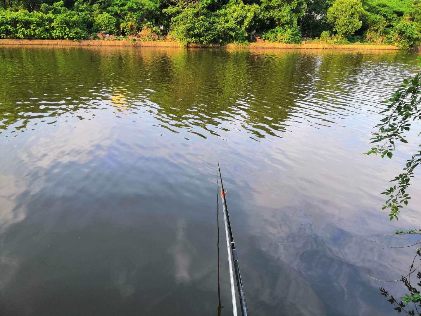 走水大跑铅正确调漂方法视频教程,防走水哪种跑铅最好用