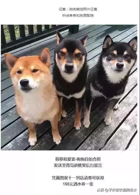 餐饮双十一门店创意营销方案,营销策略餐饮双十一营销策划方案