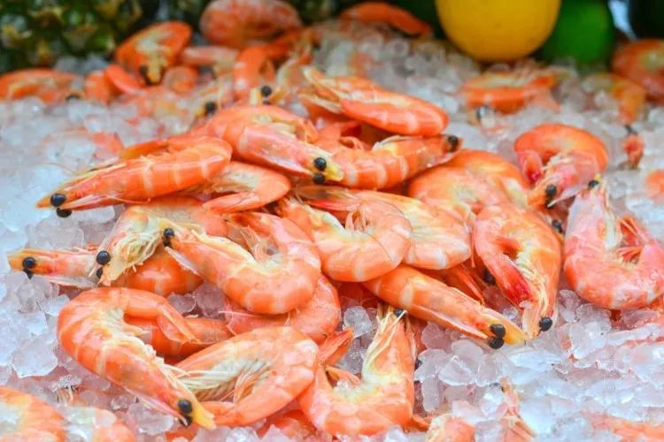 三亚海棠湾喜来登酒店,三亚海棠湾喜来登酒店自助