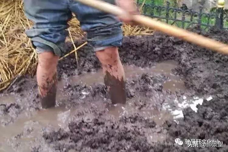 散文《打炕坯》作者：马腾驰