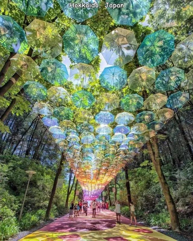 中奖2个亿图片,中奖35元吃火锅