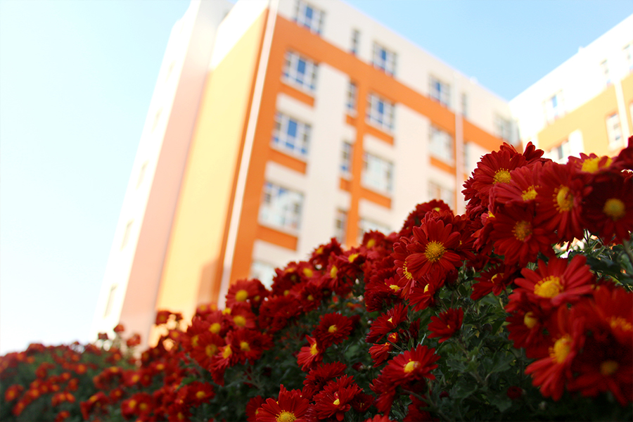 家长写给初三孩子的一封共情信,家长写给高二同学们的一封信