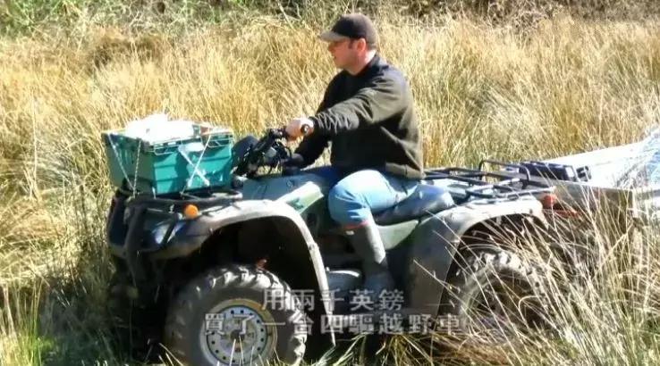 隐居深山30年以种地为生,隐居深山生活养动物