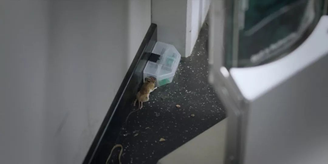 《报社》：我们不报道新闻，我们“讲故事”