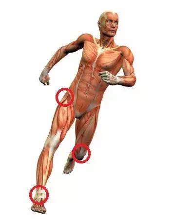 跑步新手应该了解的运动知识,跑步运动基础知识