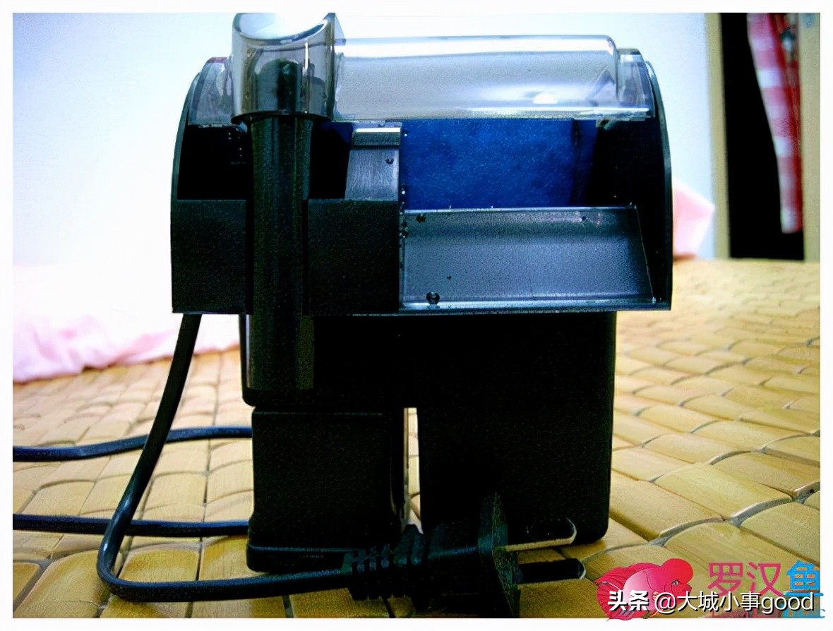 鱼缸过滤系统的基础解析,鱼缸过滤桶过滤原理