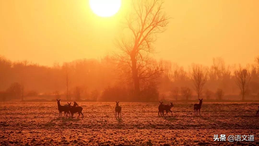 觊觎读法,觊觎同音字读音